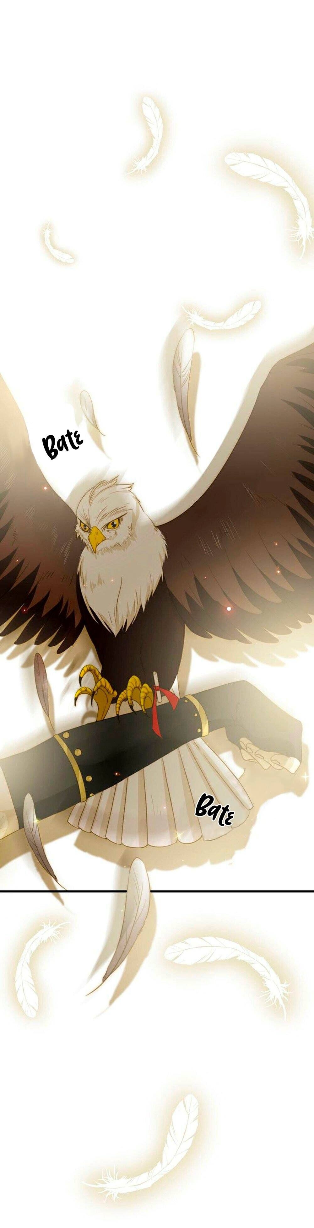 Cap 12 página 5