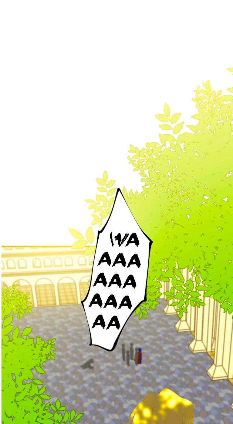 Cap 2 página 44