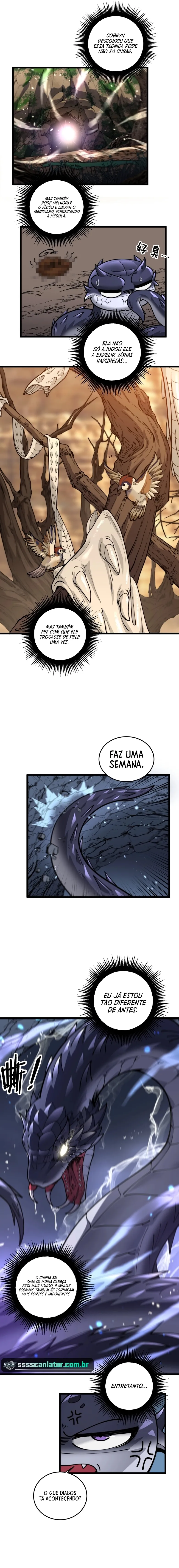 Cap 2 página 11