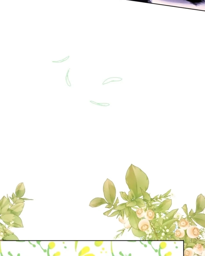 Cap 13 página 66