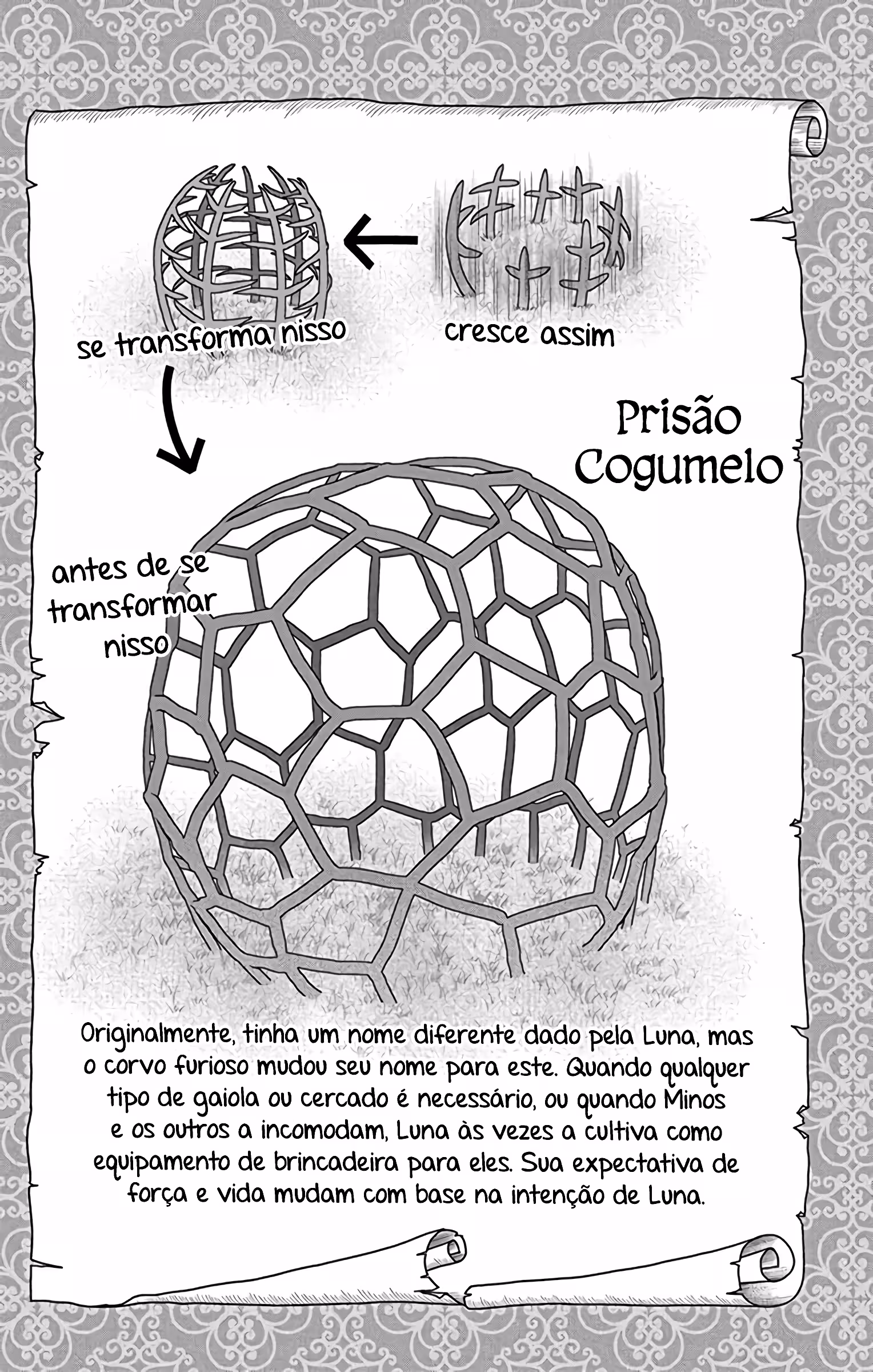 Cap 6 página 23