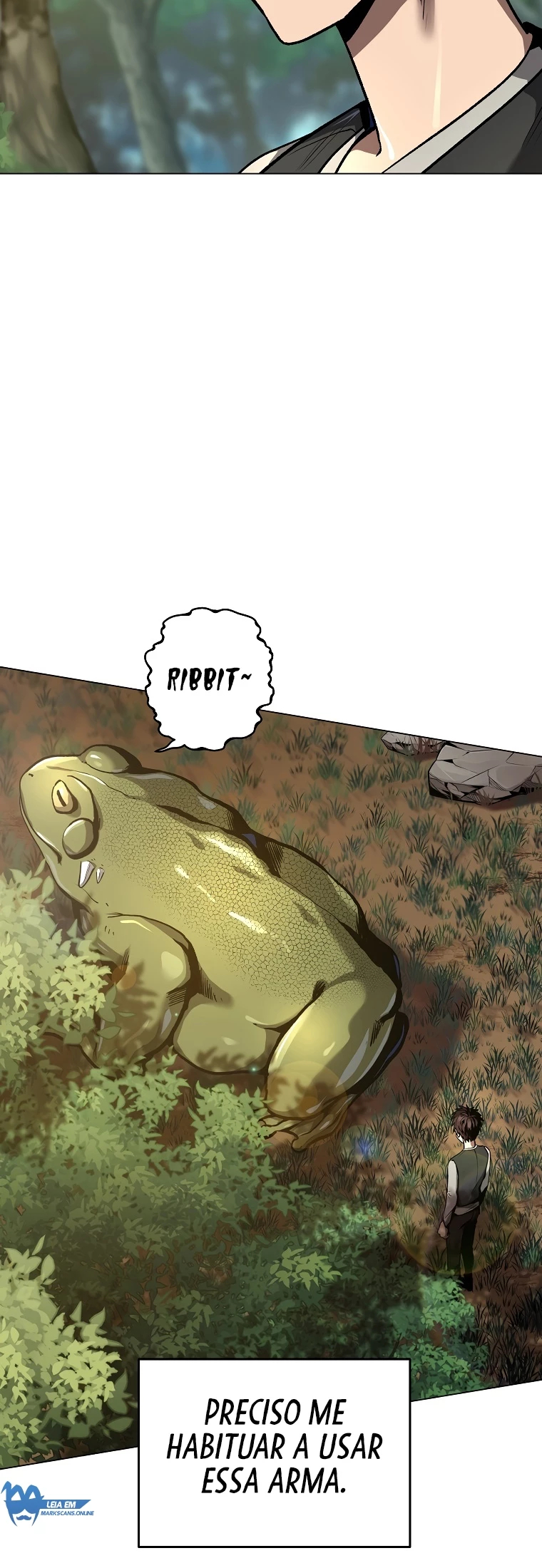 Cap 8 página 17