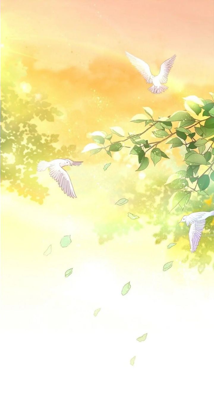 Cap 8 página 3