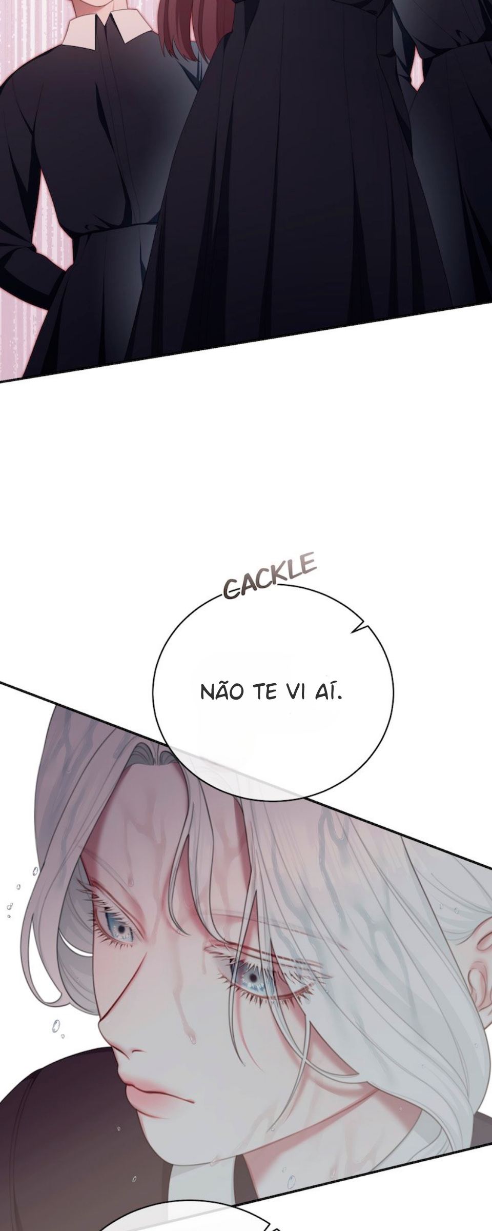 Cap 19 página 27