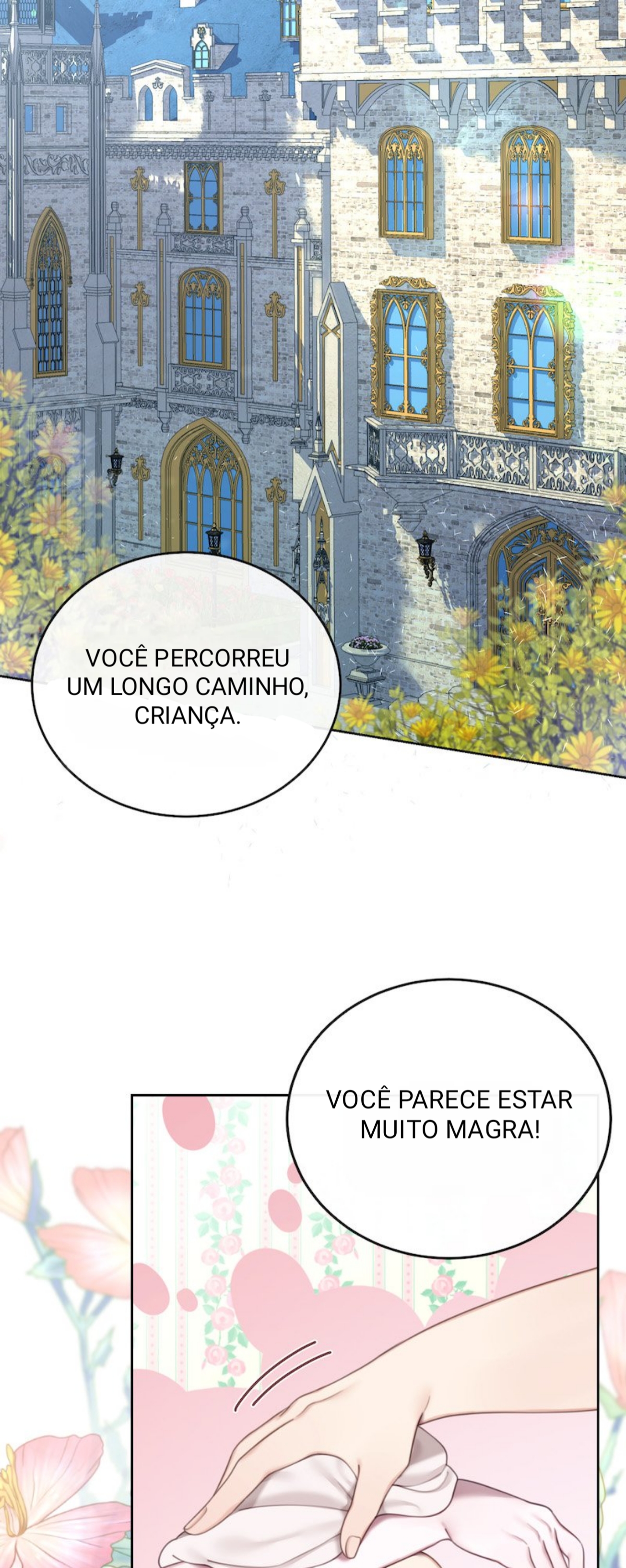 Cap 2 página 27