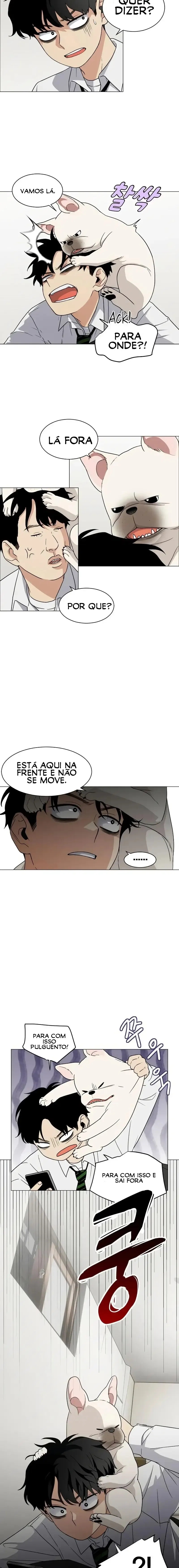 Cap 3.5 página 17