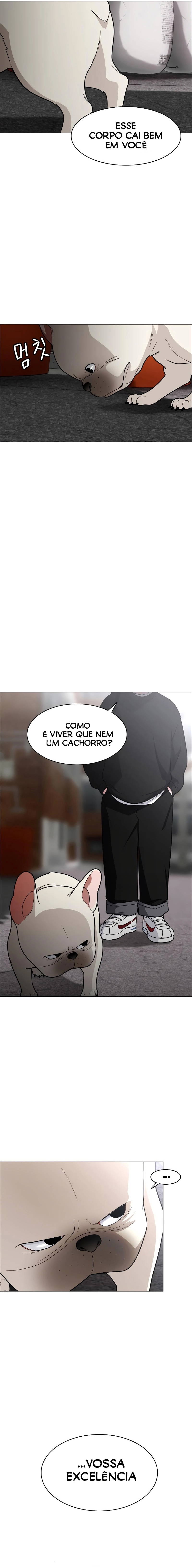 Cap 8 página 3