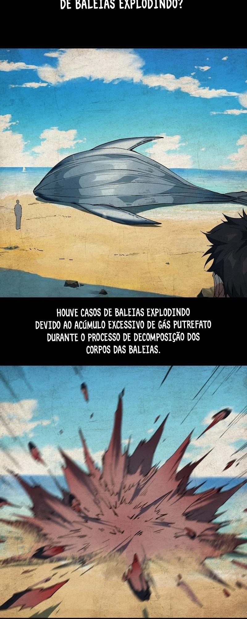 Cap 3 página 25