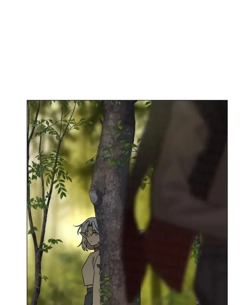 Cap 1 página 146