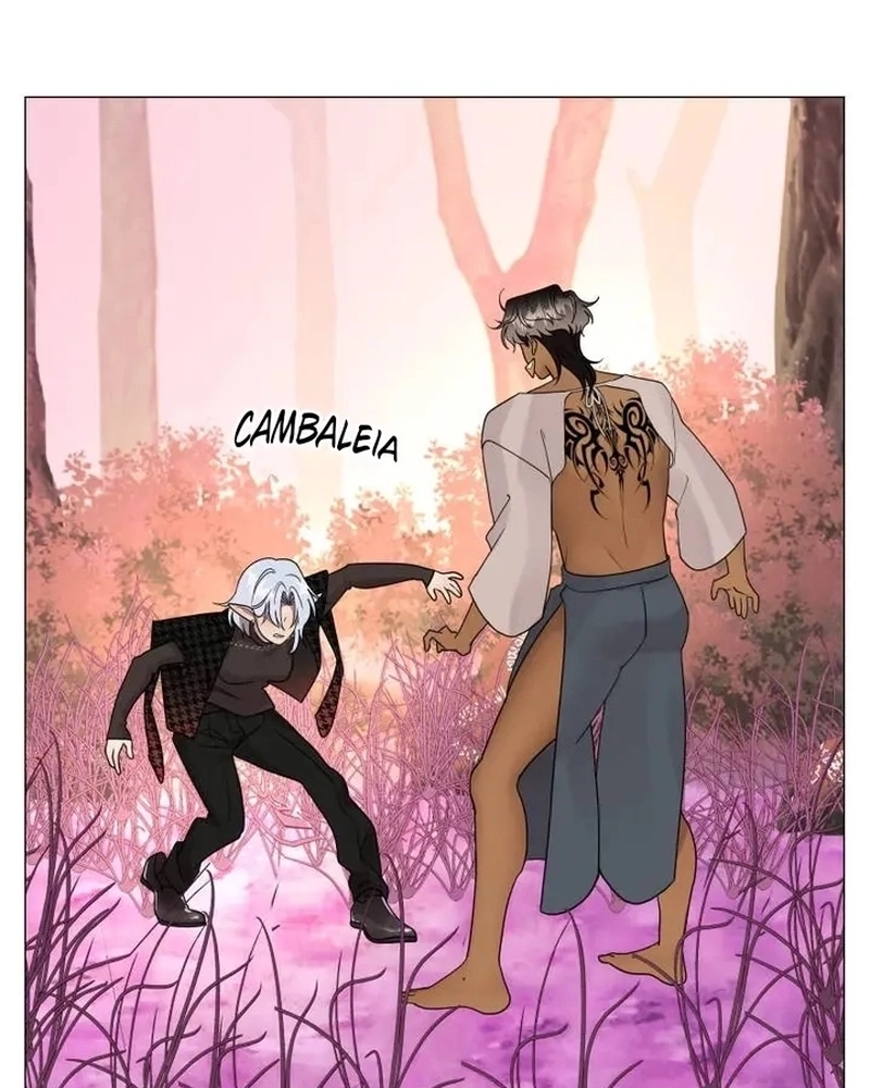 Cap 3 página 61