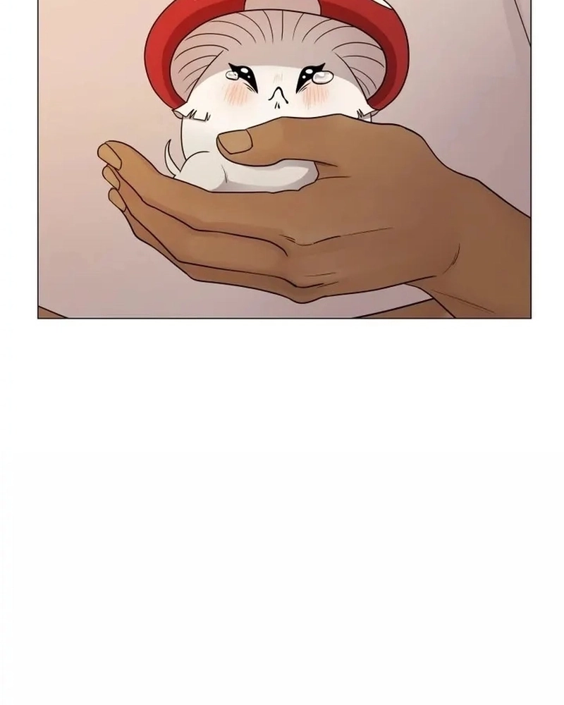 Cap 4 página 44