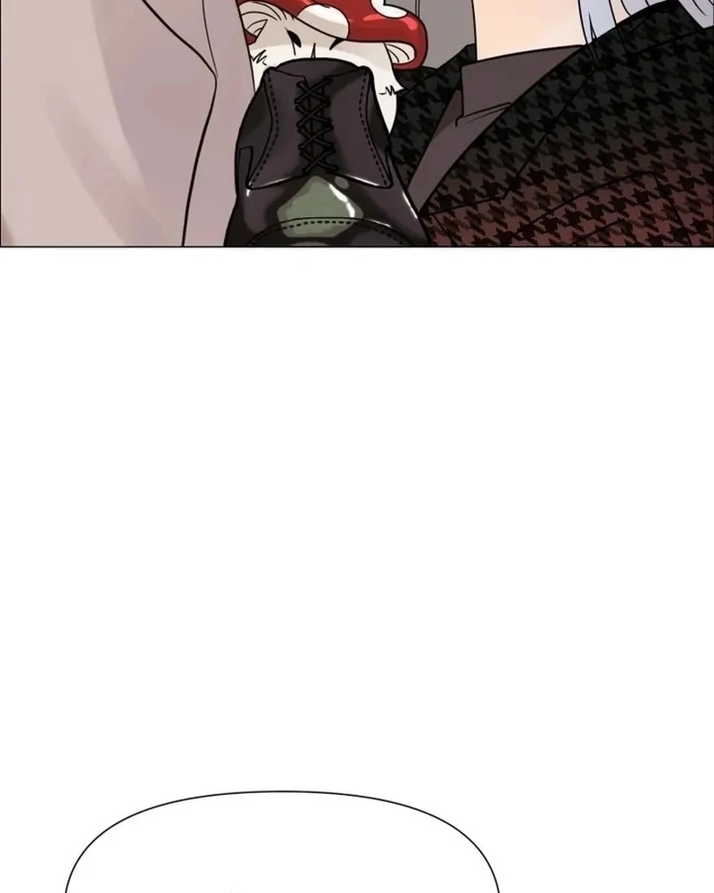 Cap 4 página 61