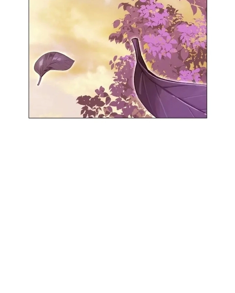 Cap 4 página 79