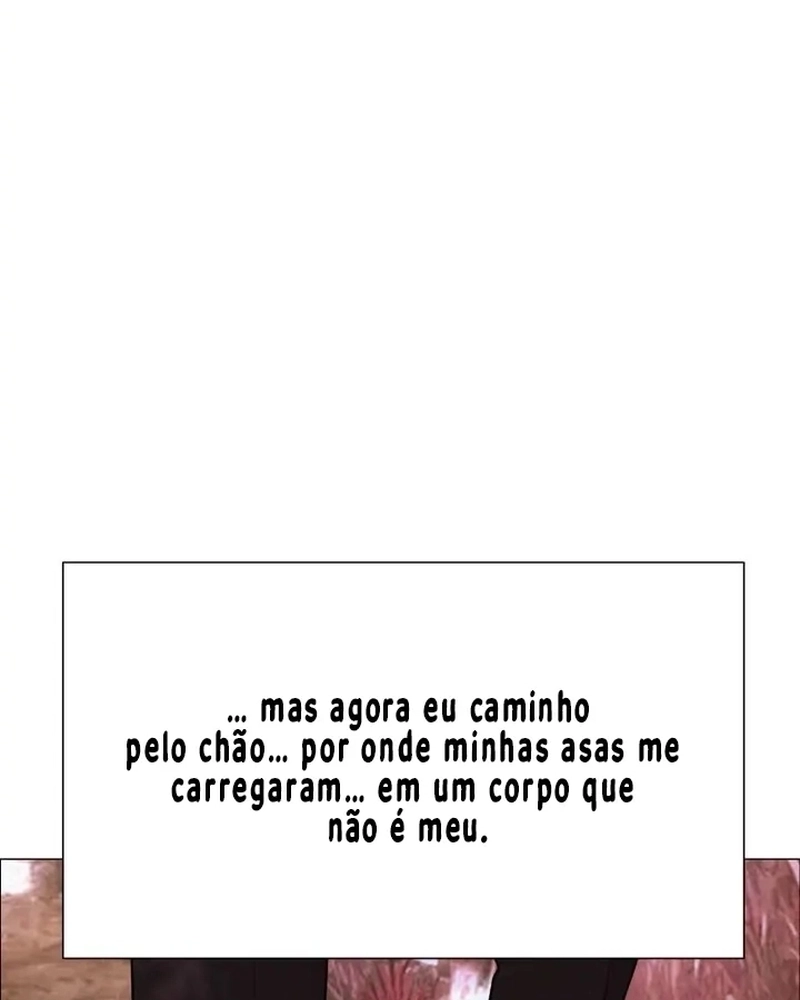 Cap 8 página 61