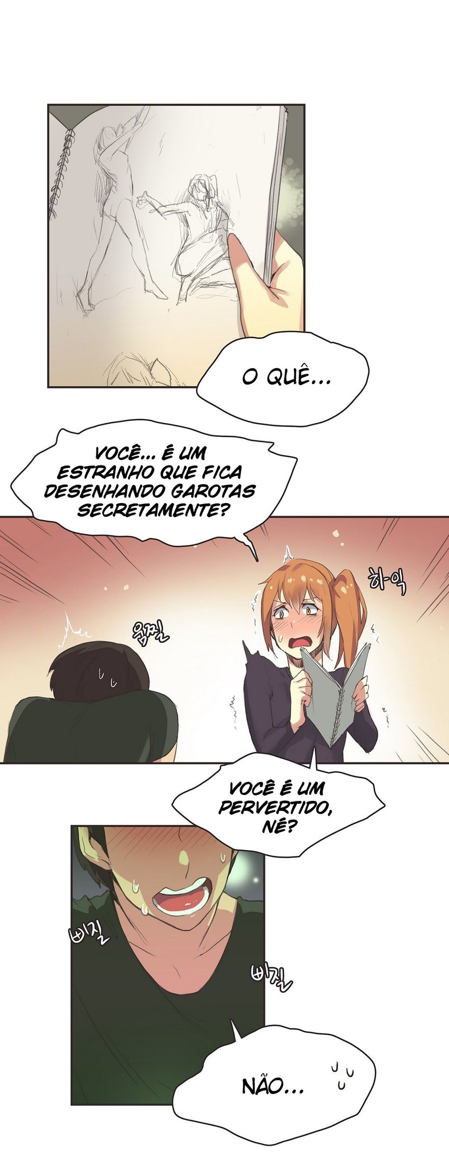 Cap 1 página 17