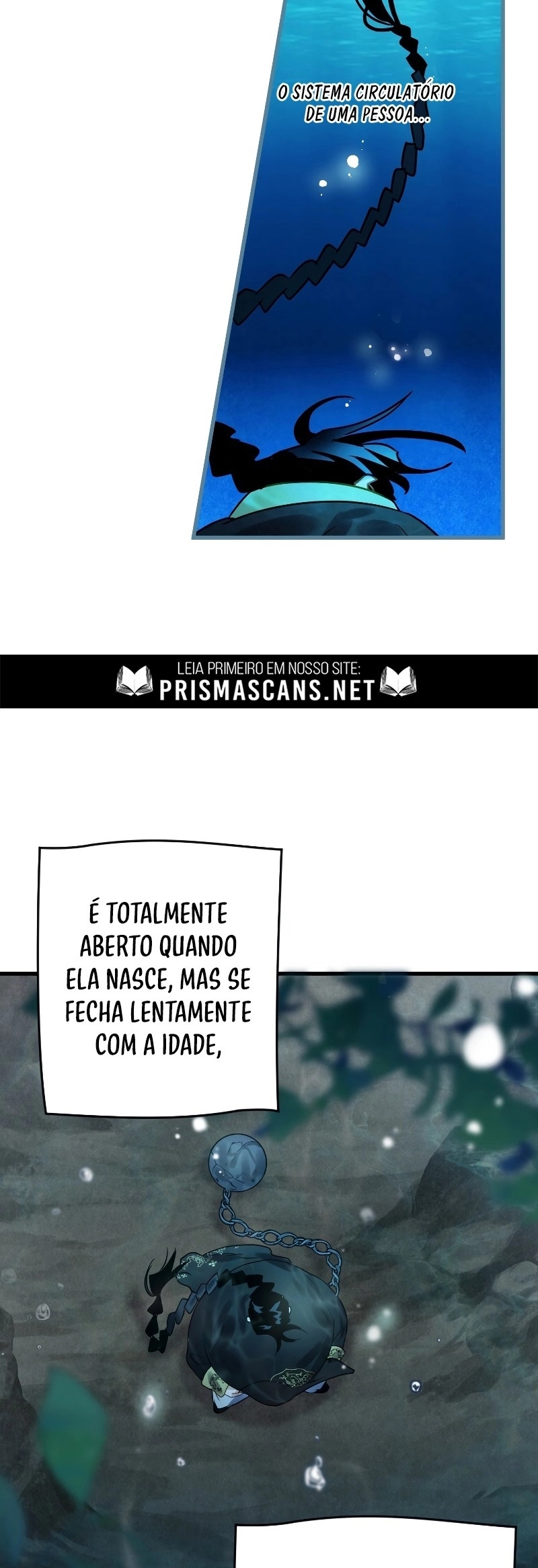Cap 4 página 43