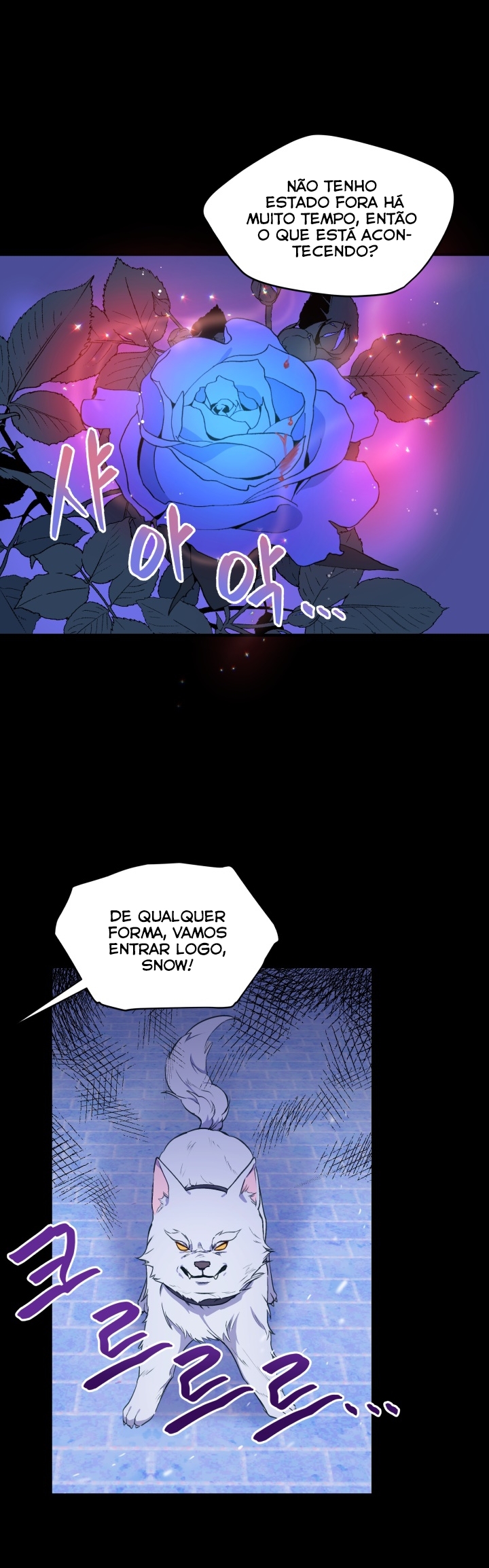 Cap 9 página 53