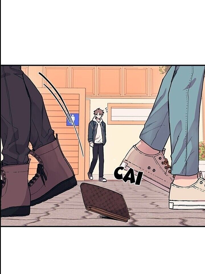 Cap 4 página 43