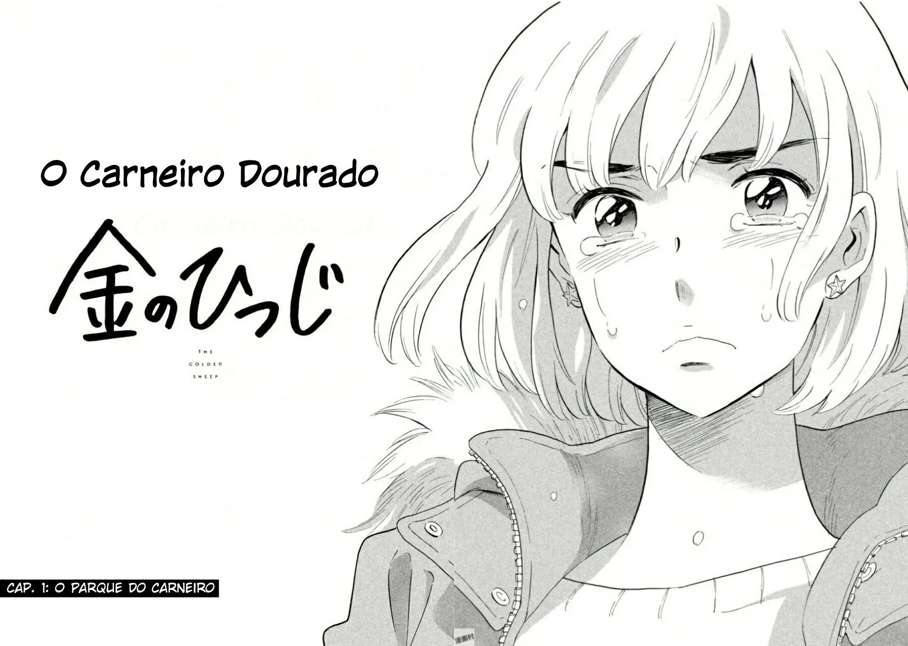 Cap 1 página 11