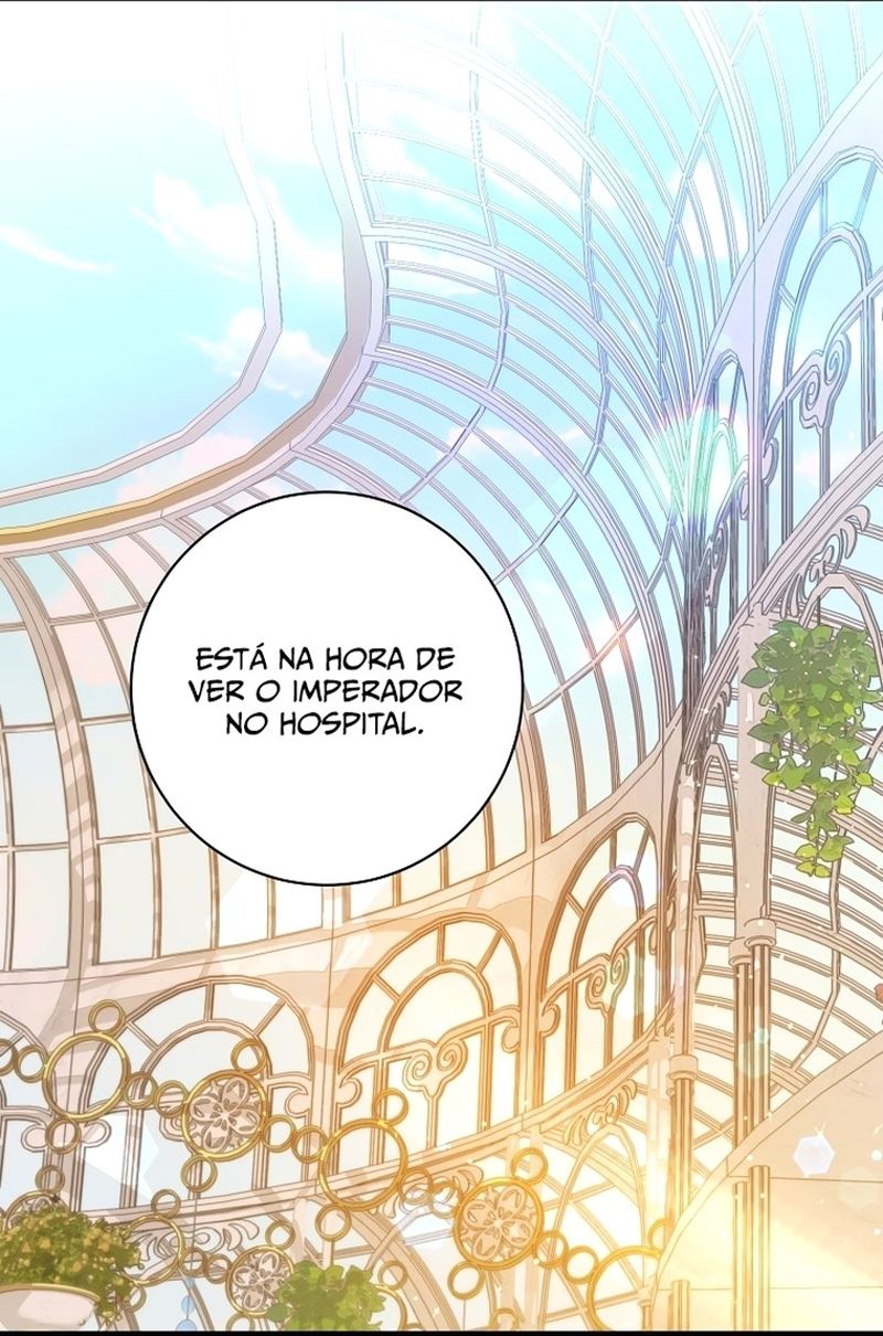 Cap 5 página 51