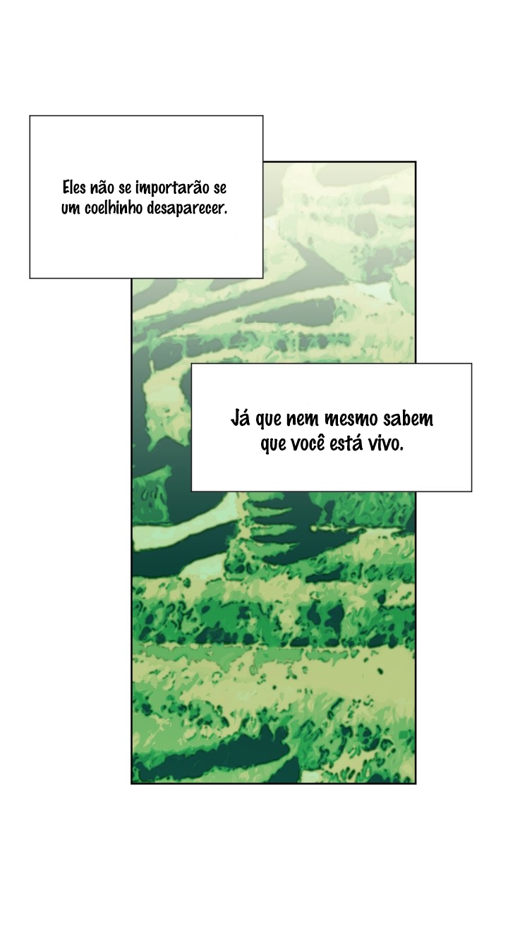 Cap 2 página 17
