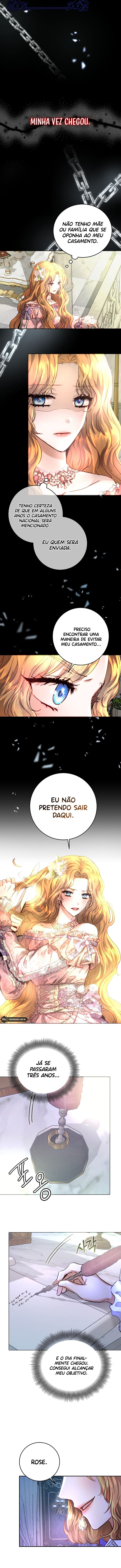 Cap 3 página 13