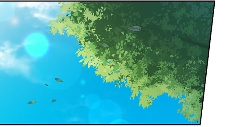 Cap 3 página 13