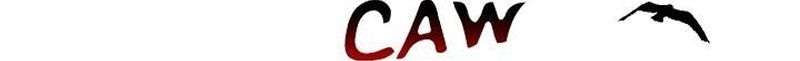 Cap 2 página 60
