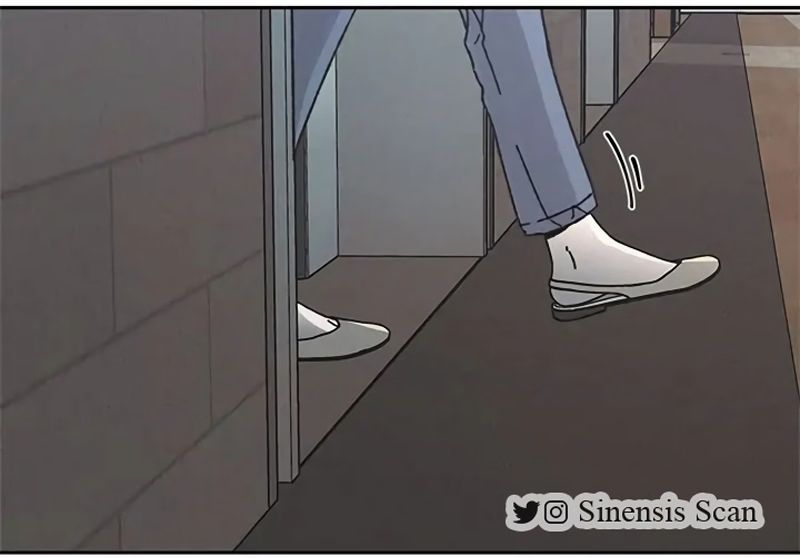Cap 12 página 106
