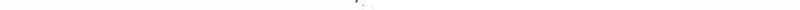 Cap 11 página 33