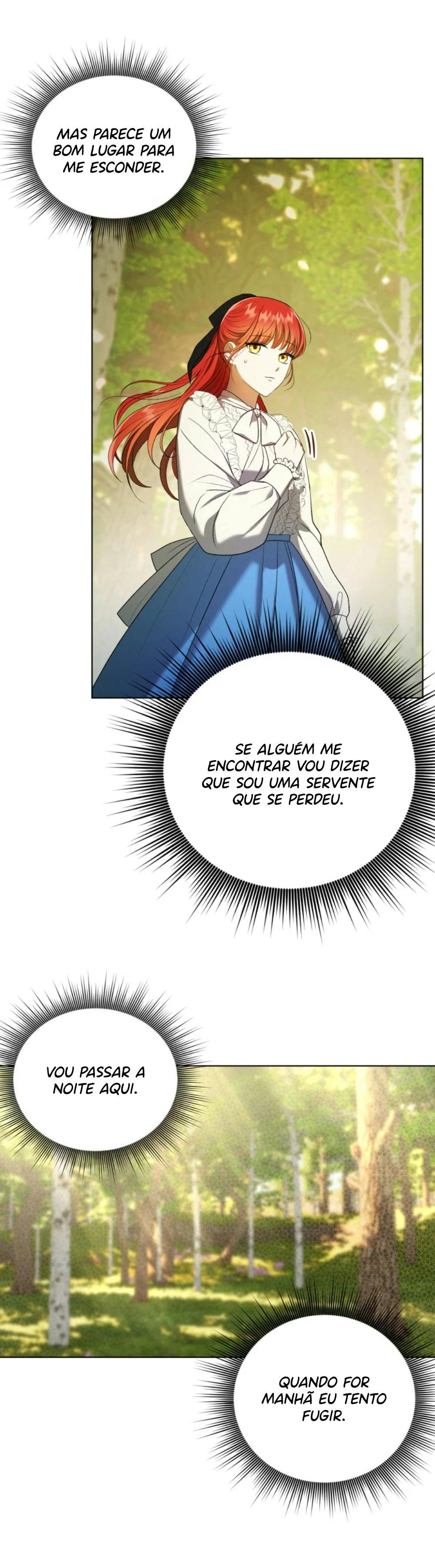Cap 11 página 29
