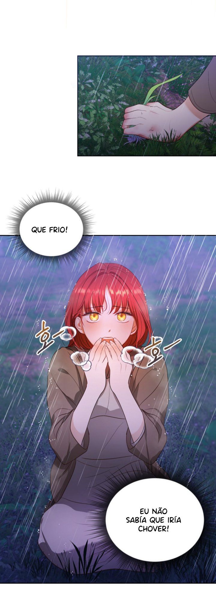 Cap 2 página 20