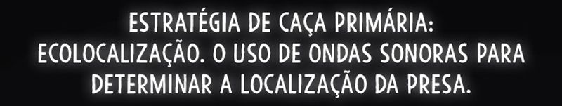 Cap 7 página 20