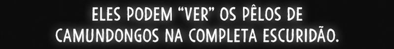 Cap 7 página 29