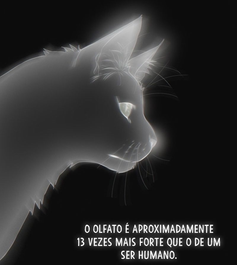 Cap 7 página 36