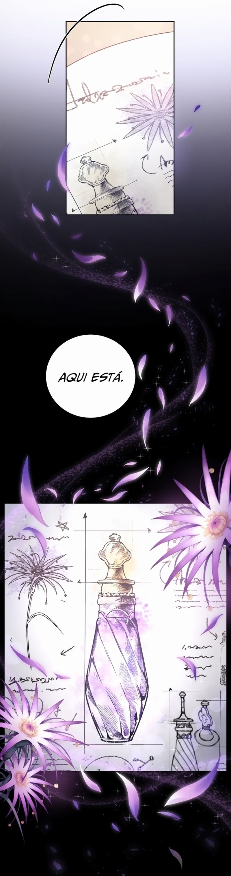 Cap 3 página 17