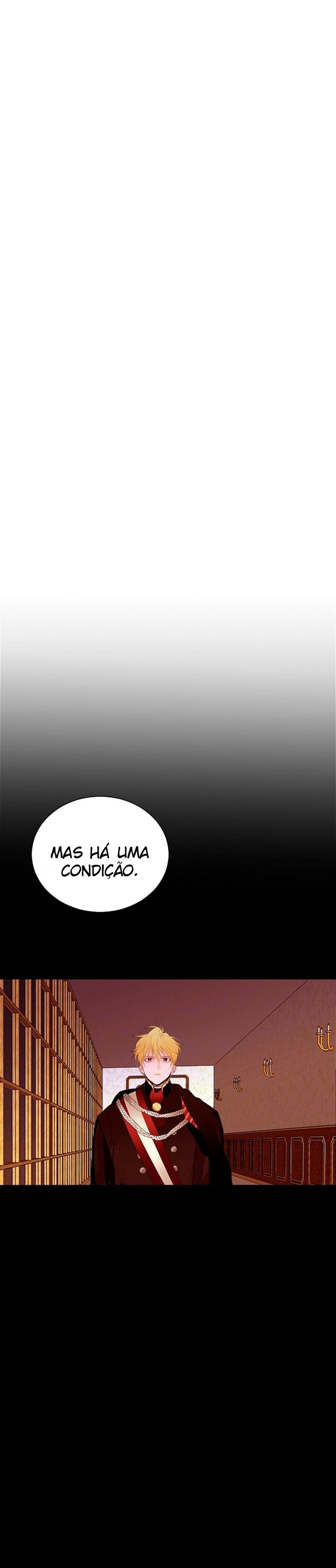 Cap 3 página 29