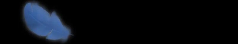 Cap 9 página 41