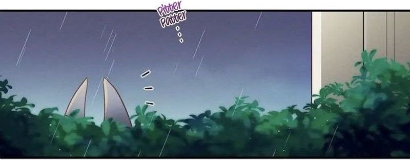 Cap 2 página 46