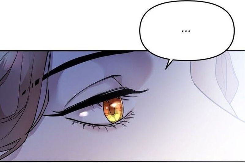 Cap 3 página 15