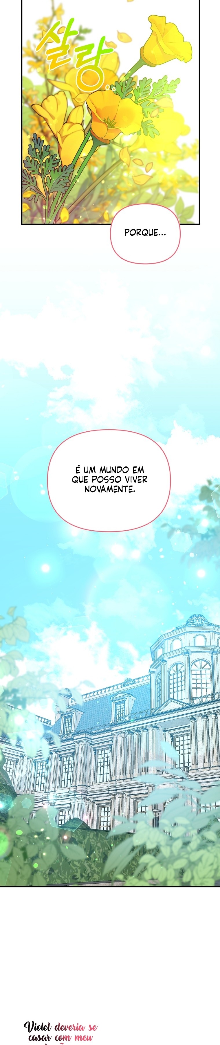 Cap 5 página 29