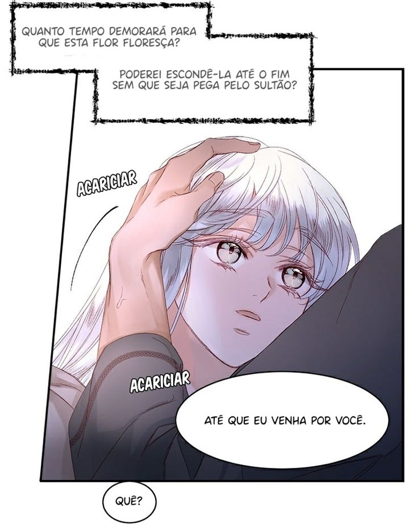 Cap 11 página 61