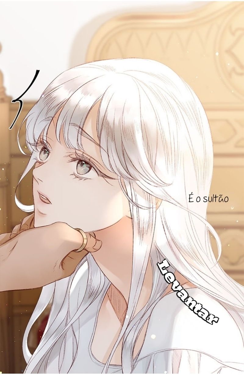 Cap 3 página 43