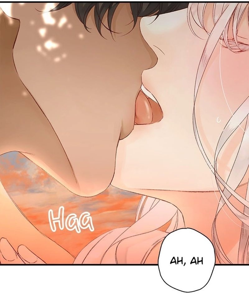 Cap 4 página 14