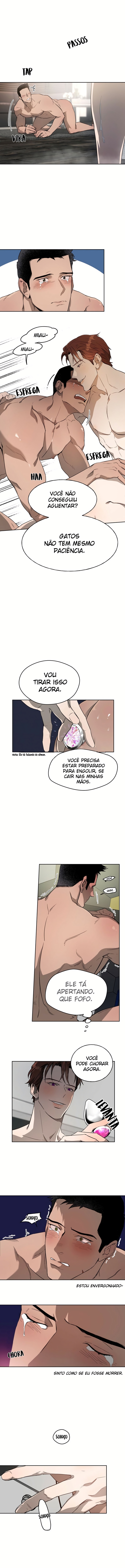 Cap 12 página 6