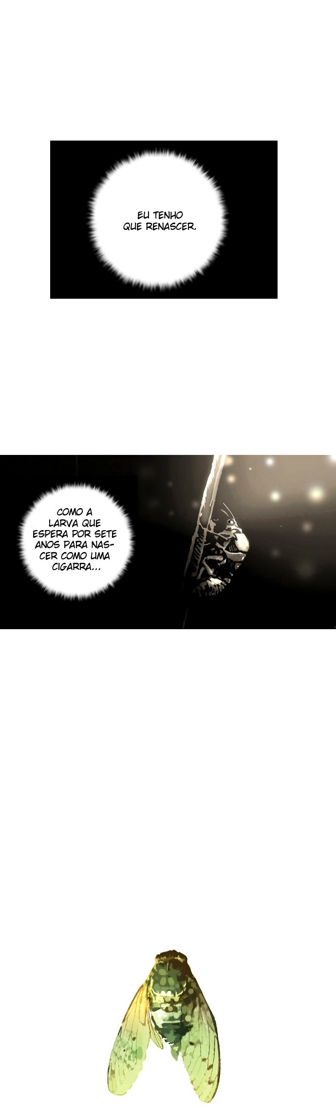 Cap 2 página 30