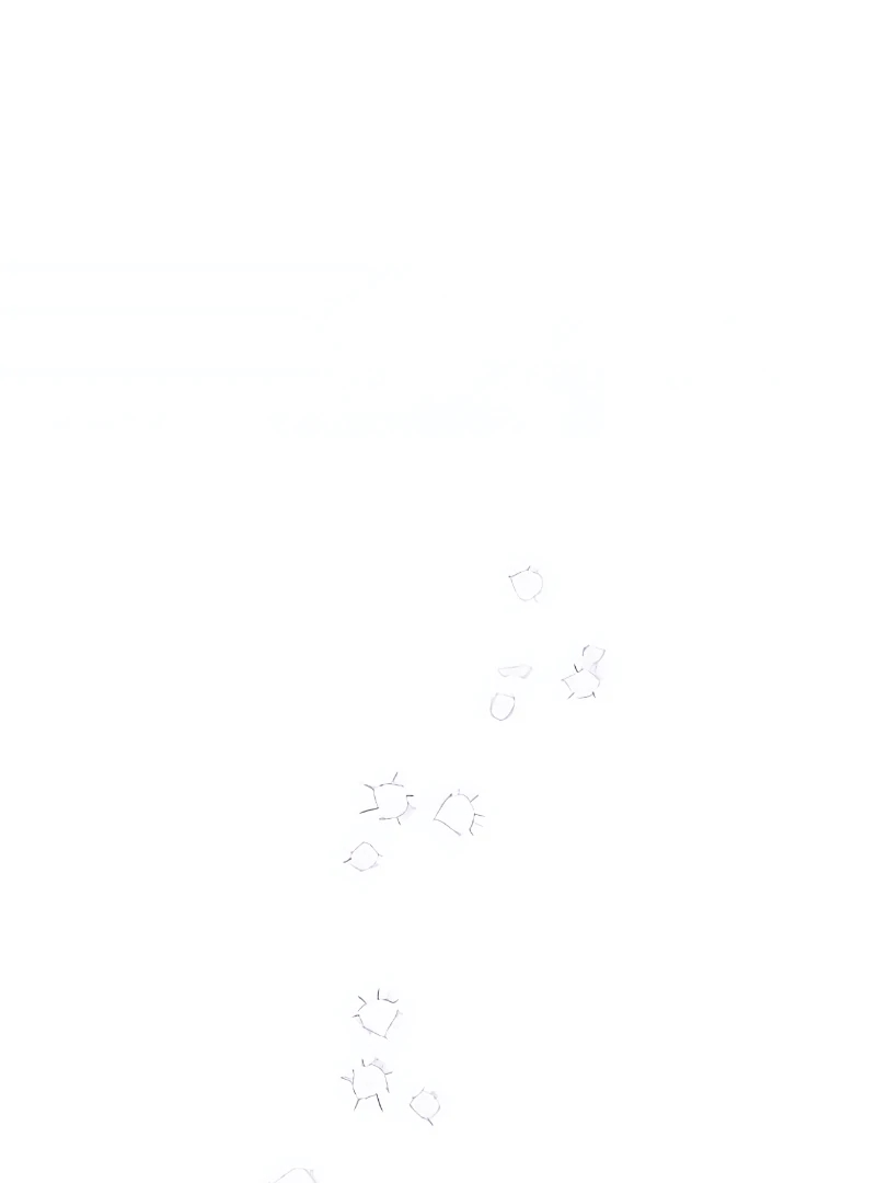 Cap 4 página 147