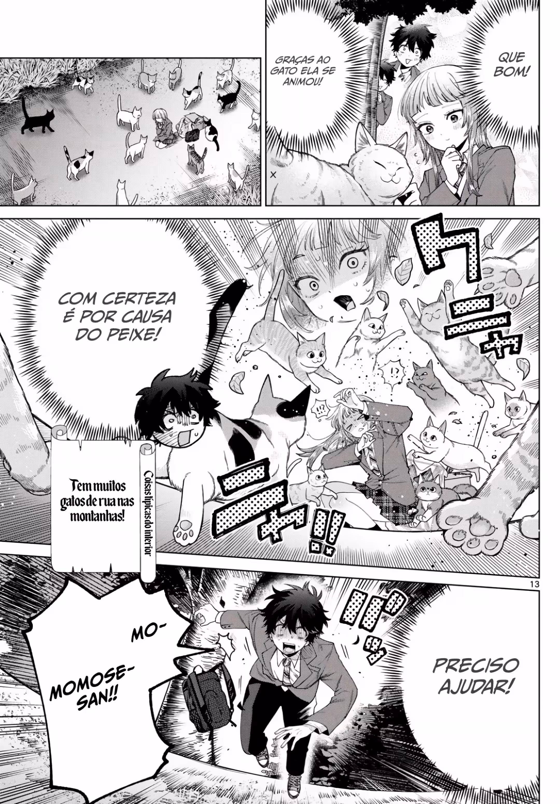 Cap 13 página 14