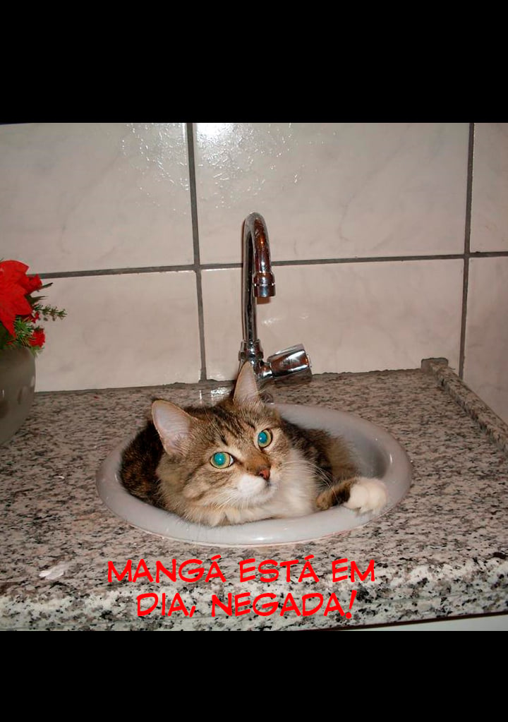 Cap 9 página 32