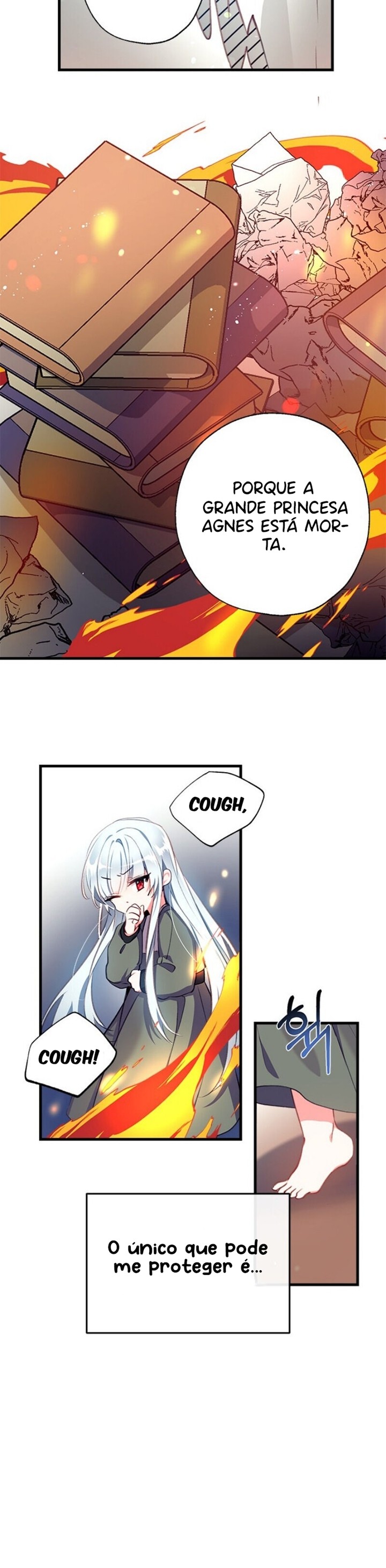 Cap 2 página 29